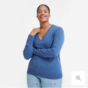 Like New Everlane Cashmere V-Neck Sweater